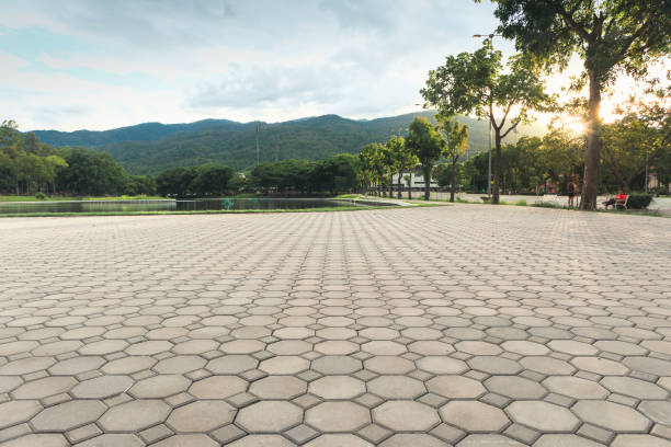 Best Driveway Paving Contractor  in Sulphur Springs, TX
